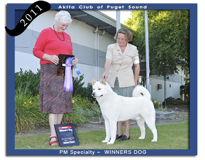 ACPS PM  Winners Dog